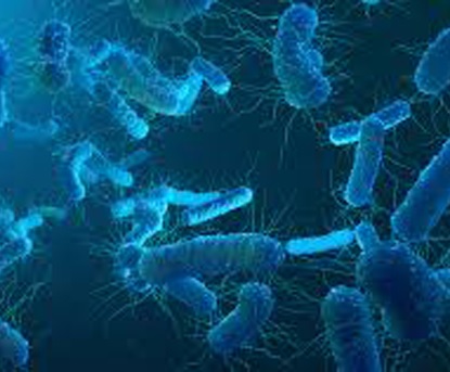 Corona en legionella; alertheid blijft geboden