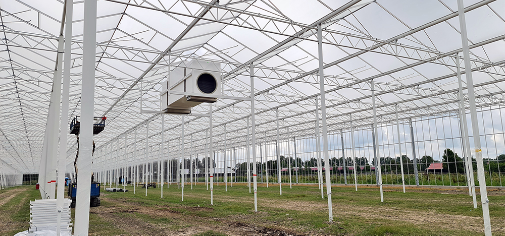 Tomaten telen dankzij speciale luchtbehandelingskasten